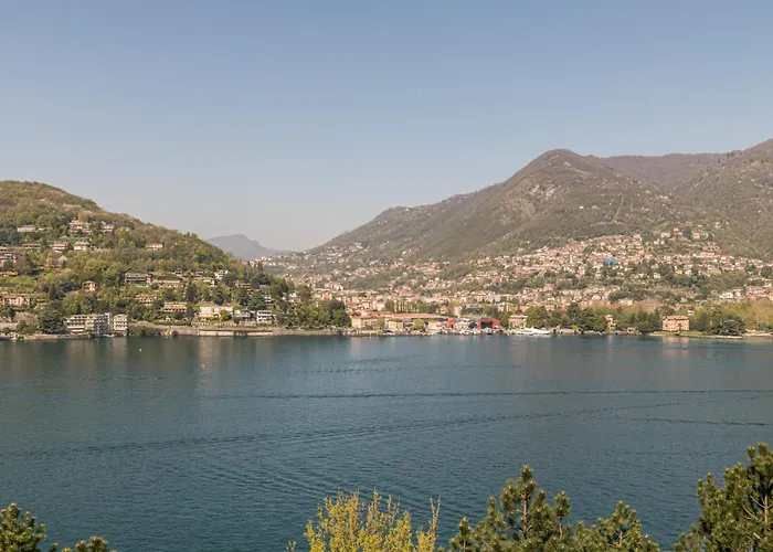 Guest Host - Stylish And Bright With Private Garden Apartment