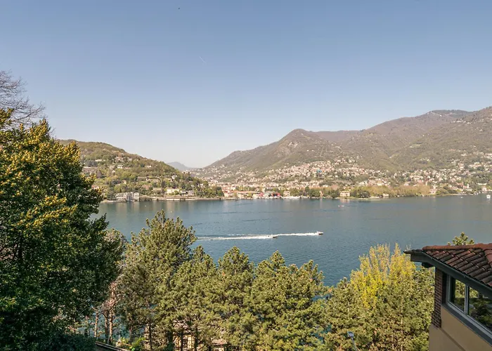 Guest Host - Stylish And Bright With Private Garden